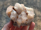 Natural Smokey Cactus Flower Spirit Quartz Clusters x 6 From Boekenhouthoek, South Africa