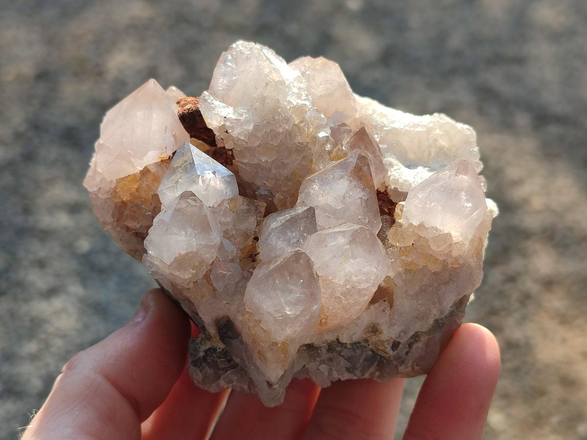 Natural Smokey Cactus Flower Spirit Quartz Clusters x 6 From Boekenhouthoek, South Africa