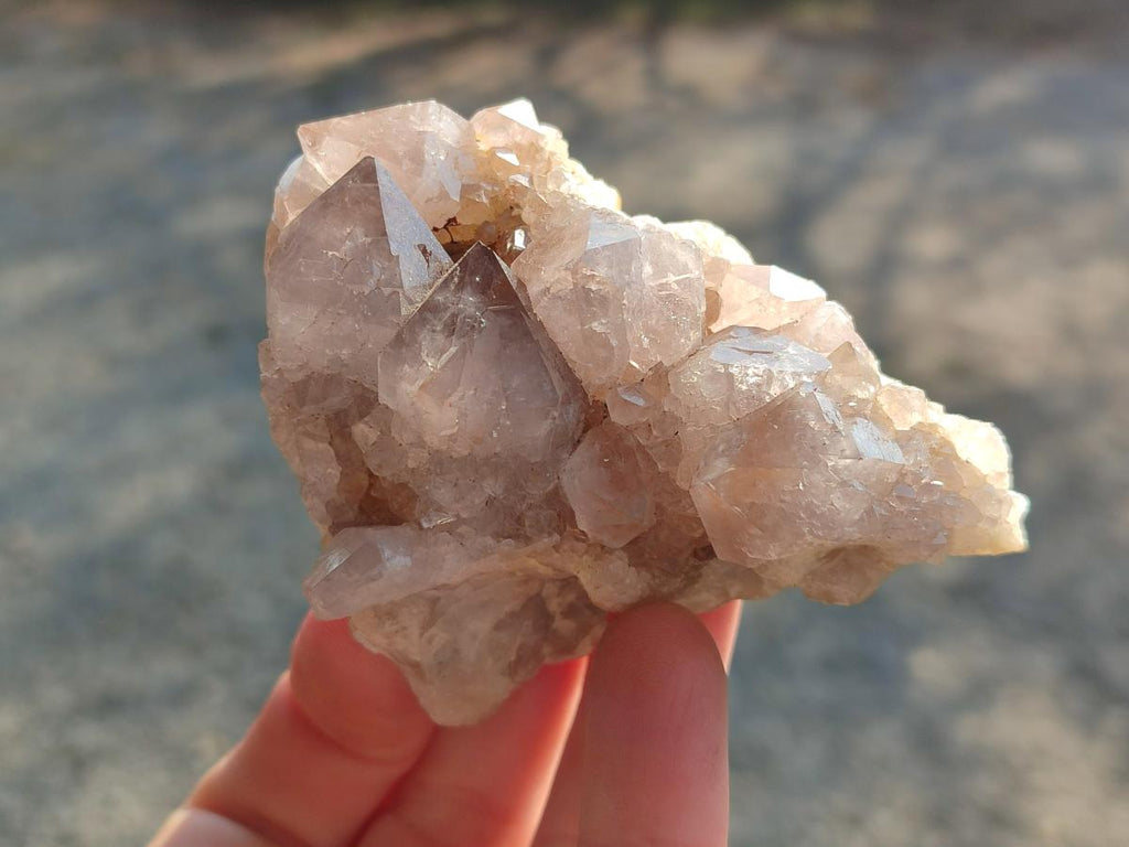 Natural Smokey Cactus Flower Spirit Quartz Clusters x 6 From Boekenhouthoek, South Africa