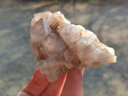 Natural Smokey Cactus Flower Spirit Quartz Clusters x 6 From Boekenhouthoek, South Africa
