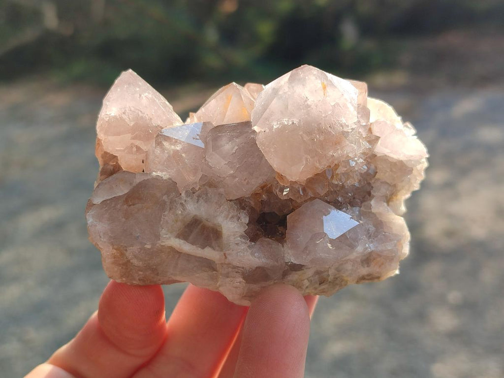 Natural Smokey Cactus Flower Spirit Quartz Clusters x 6 From Boekenhouthoek, South Africa