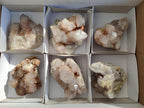 Natural Smokey Cactus Flower Spirit Quartz Clusters x 6 From Boekenhouthoek, South Africa