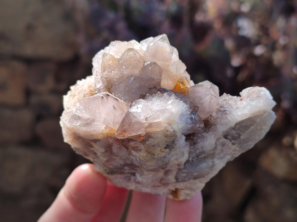 Natural Smokey Cactus Flower Spirit Quartz Clusters x 6 From Boekenhouthoek, South Africa