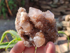Natural Smokey Cactus Flower Spirit Quartz Clusters x 6 From Boekenhouthoek, South Africa