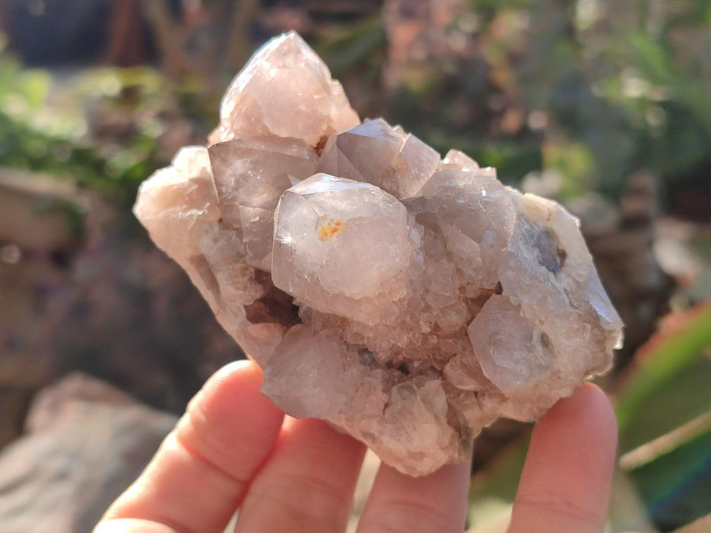 Natural Smokey Cactus Flower Spirit Quartz Clusters x 6 From Boekenhouthoek, South Africa