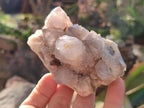 Natural Smokey Cactus Flower Spirit Quartz Clusters x 6 From Boekenhouthoek, South Africa