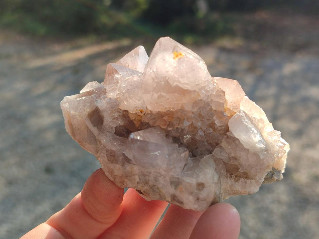 Natural Smokey Cactus Flower Spirit Quartz Clusters x 6 From Boekenhouthoek, South Africa