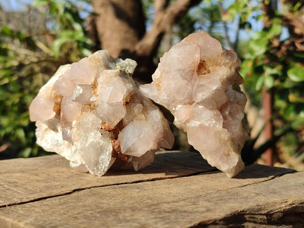 Natural Smokey Cactus Flower Spirit Quartz Clusters x 6 From Boekenhouthoek, South Africa