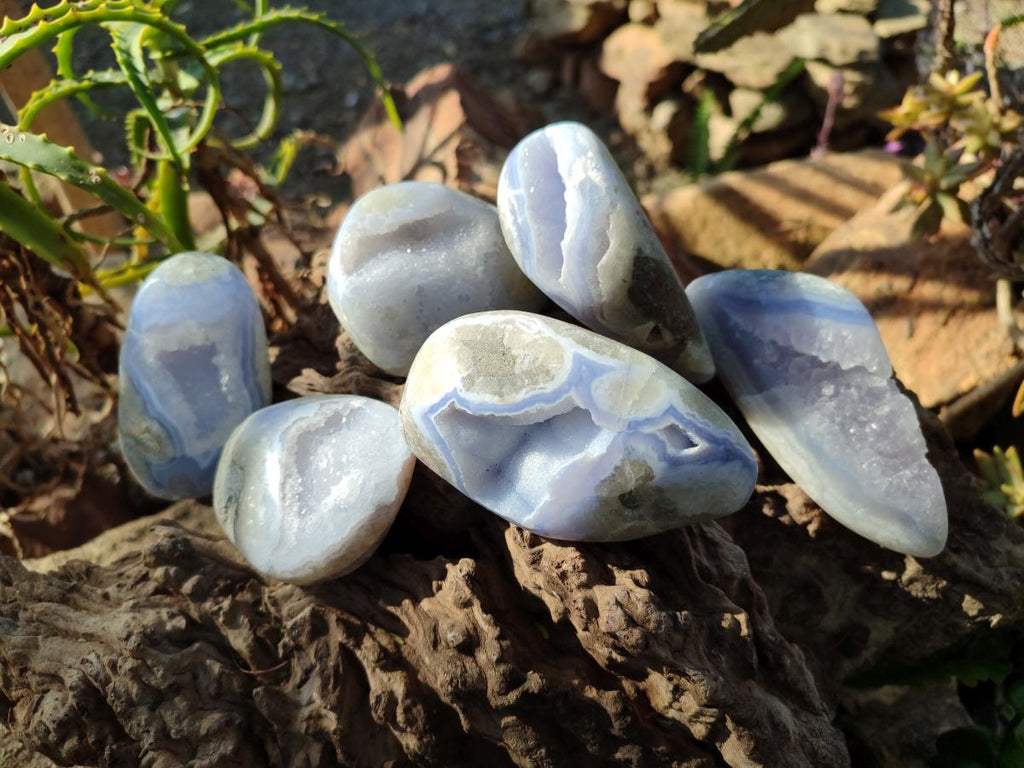 Polished and Natural Blue Lace Agate Free Forms x 6 From Nsanje, Malawi