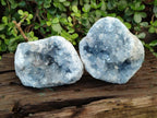 Natural Cabinet Size Blue Celestite Geode Specimens x 2 From Sakoany, Madagascar