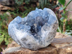 Natural Cabinet Size Blue Celestite Geode Specimens x 2 From Sakoany, Madagascar