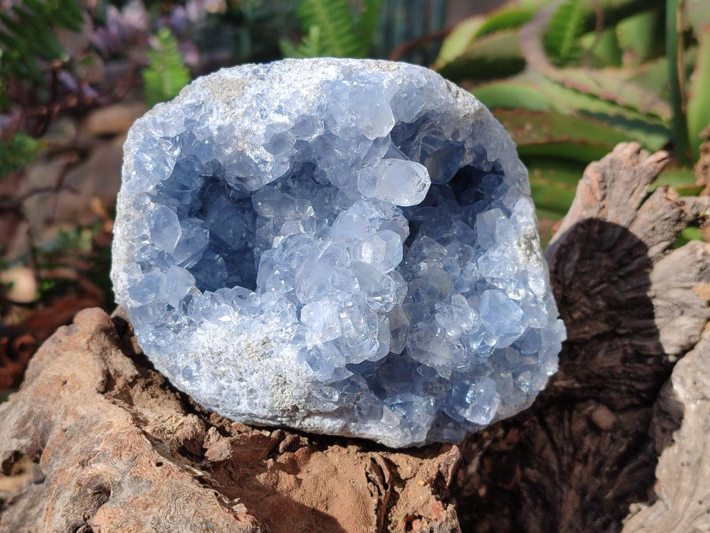 Natural Cabinet Size Blue Celestite Geode Specimens x 2 From Sakoany, Madagascar