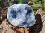 Natural Cabinet Size Blue Celestite Geode Specimens x 2 From Sakoany, Madagascar
