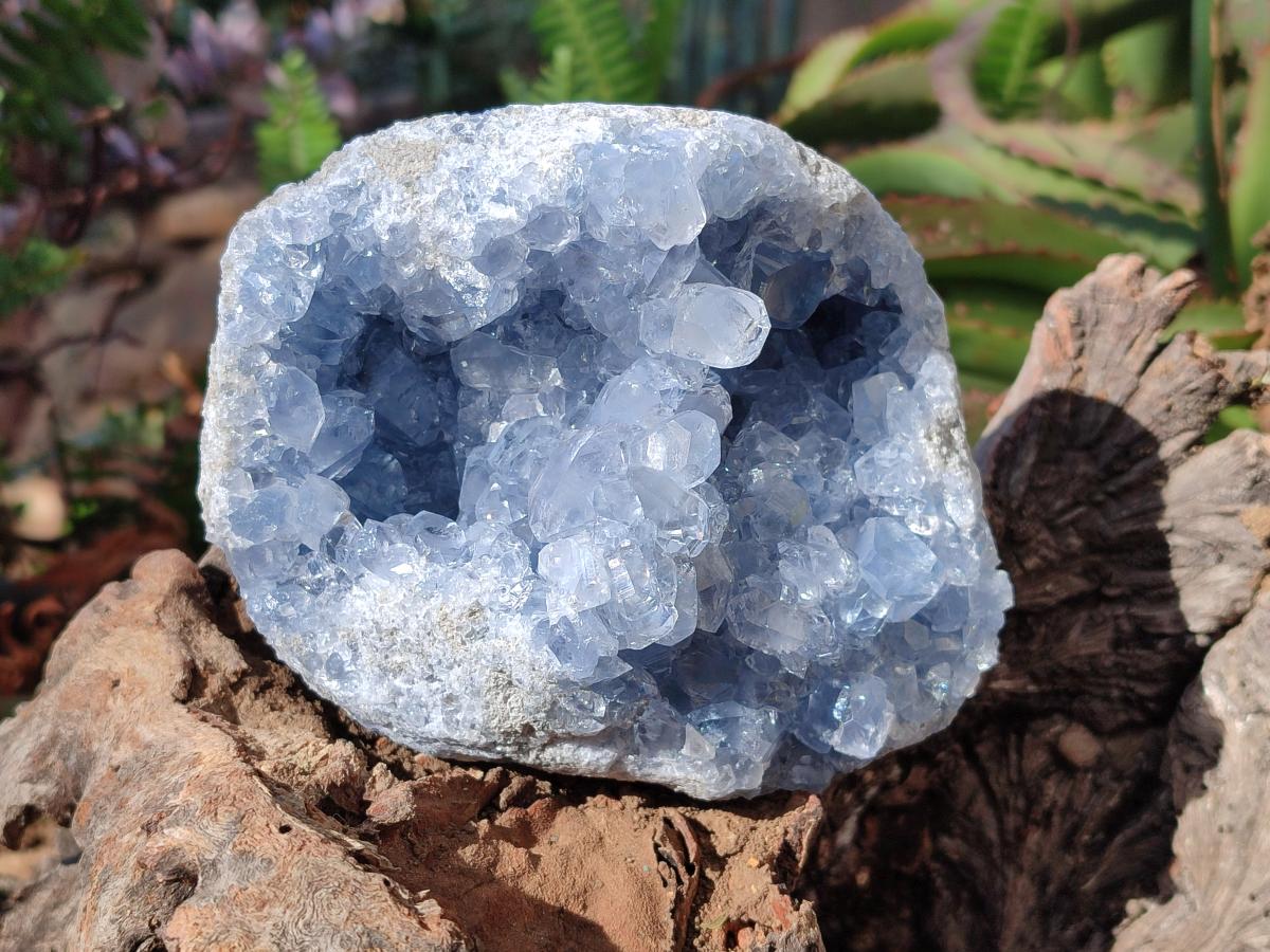 Natural Cabinet Size Blue Celestite Geode Specimens x 2 From Sakoany, Madagascar