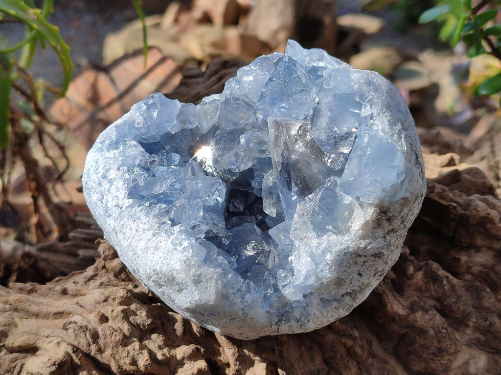 Natural Cabinet Size Blue Celestite Geode Specimens x 2 From Sakoany, Madagascar