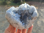 Natural Cabinet Size Blue Celestite Geode Specimens x 2 From Sakoany, Madagascar