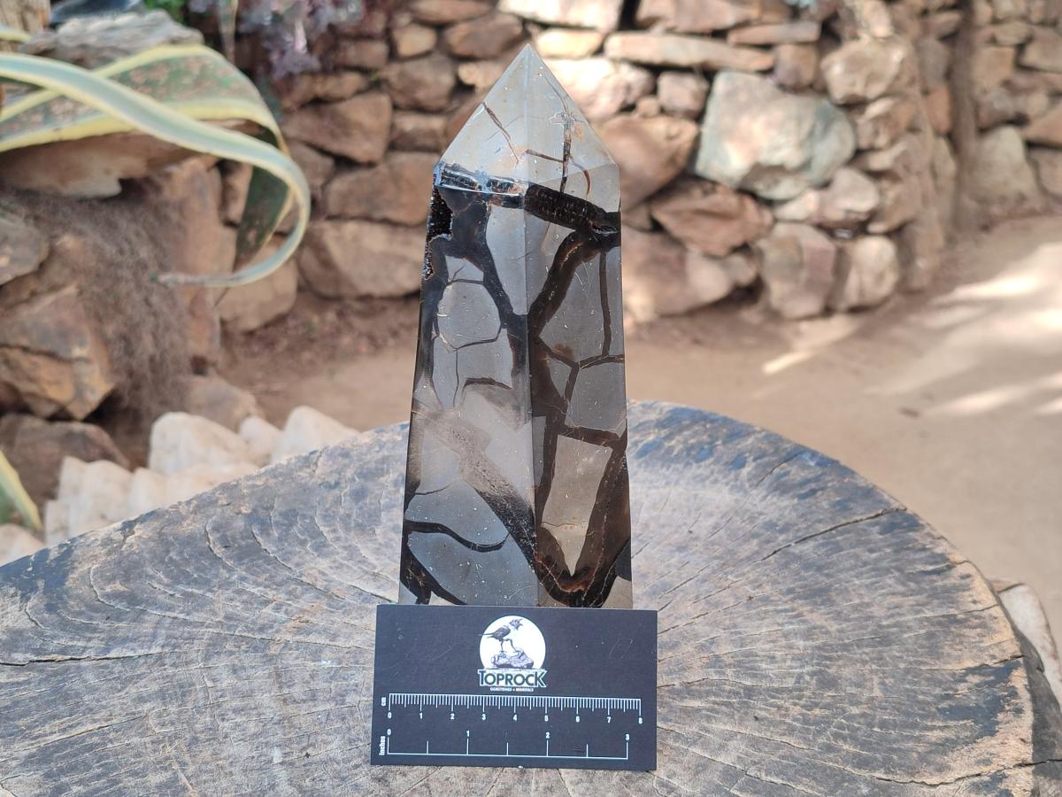 Polished and Natural Large Septerye Sauvage Display Crystal x 1 From Mahajanga, Madagascar