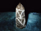 Polished and Natural Large Septerye Sauvage Display Crystal x 1 From Mahajanga, Madagascar