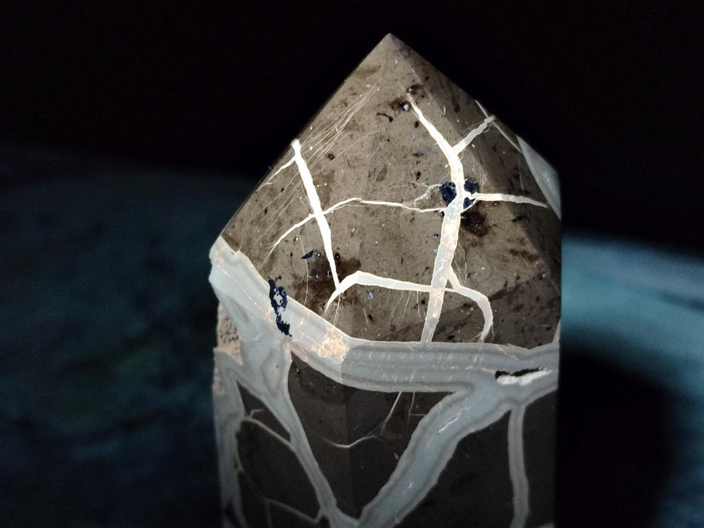 Polished and Natural Large Septerye Sauvage Display Crystal x 1 From Mahajanga, Madagascar
