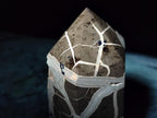 Polished and Natural Large Septerye Sauvage Display Crystal x 1 From Mahajanga, Madagascar
