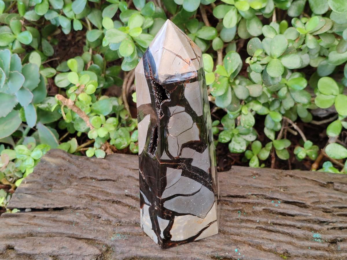Polished and Natural Large Septerye Sauvage Display Crystal x 1 From Mahajanga, Madagascar