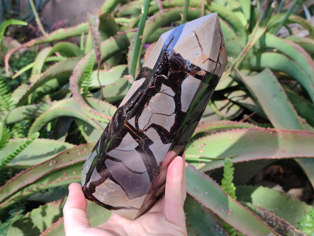 Polished and Natural Large Septerye Sauvage Display Crystal x 1 From Mahajanga, Madagascar