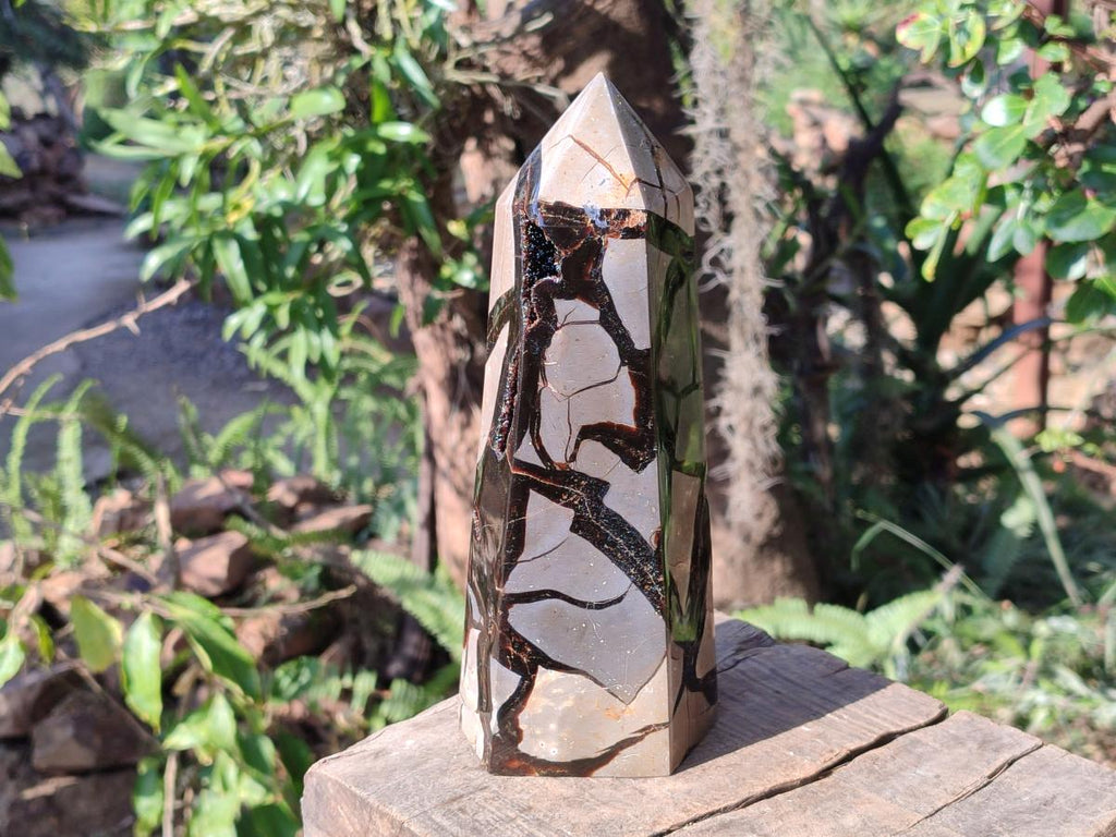 Polished and Natural Large Septerye Sauvage Display Crystal x 1 From Mahajanga, Madagascar