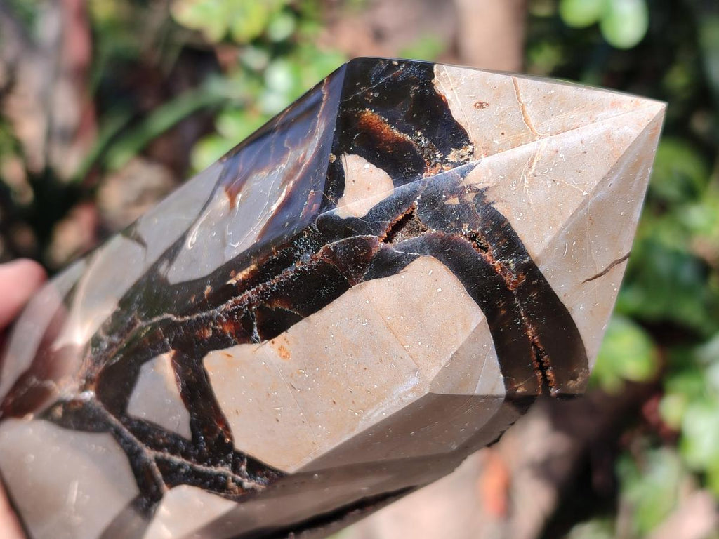 Polished and Natural Large Septerye Sauvage Display Crystal x 1 From Mahajanga, Madagascar
