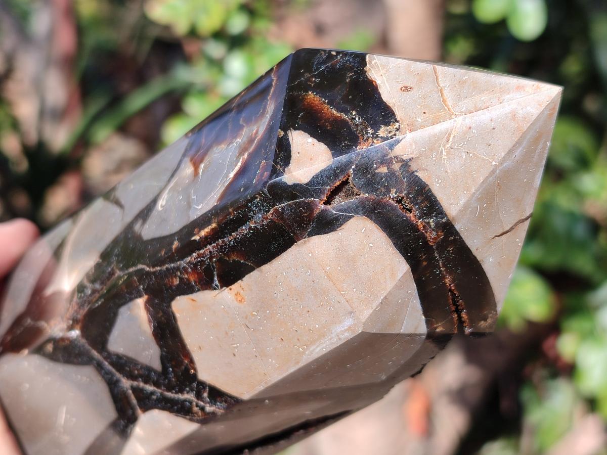Polished and Natural Large Septerye Sauvage Display Crystal x 1 From Mahajanga, Madagascar
