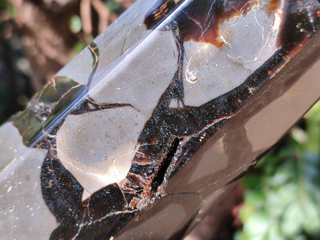 Polished and Natural Large Septerye Sauvage Display Crystal x 1 From Mahajanga, Madagascar