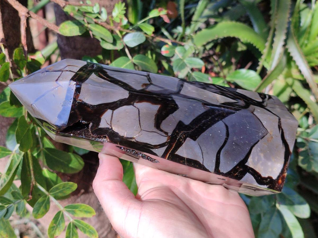 Polished and Natural Large Septerye Sauvage Display Crystal x 1 From Mahajanga, Madagascar