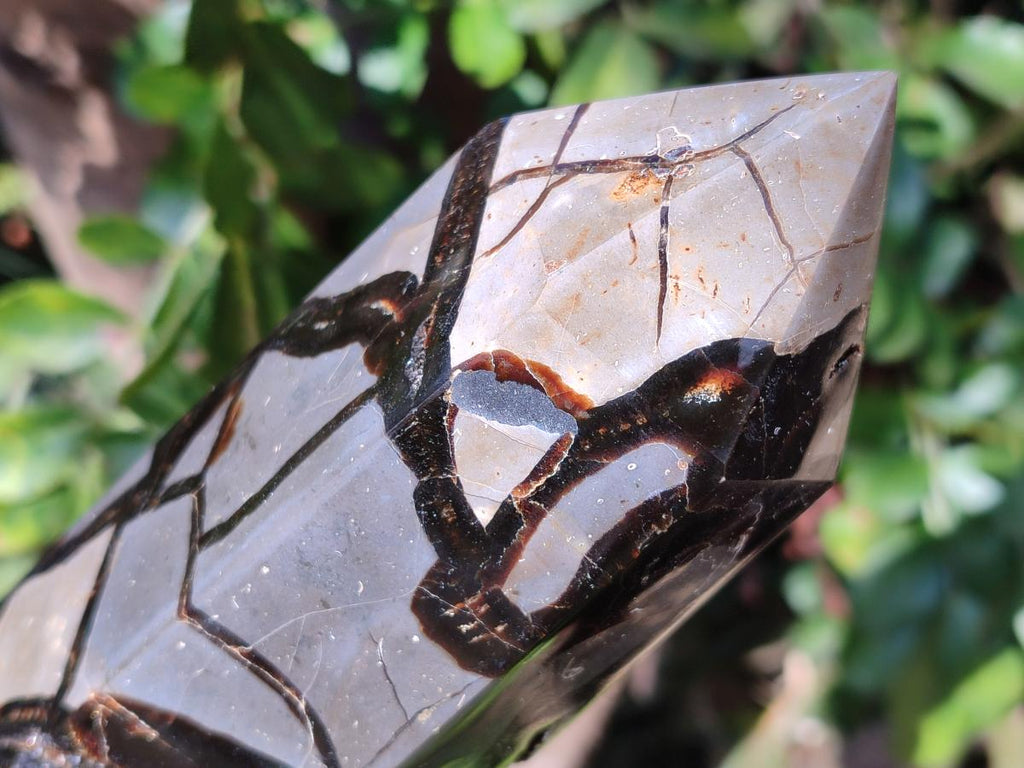 Polished and Natural Large Septerye Sauvage Display Crystal x 1 From Mahajanga, Madagascar