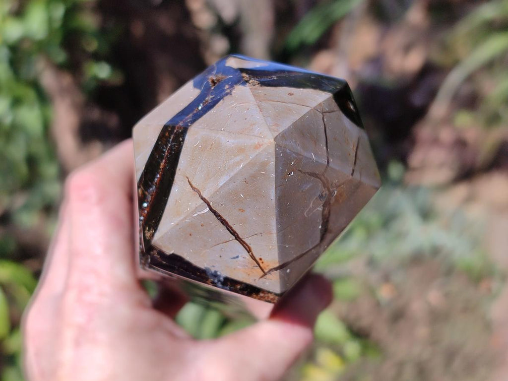 Polished and Natural Large Septerye Sauvage Display Crystal x 1 From Mahajanga, Madagascar
