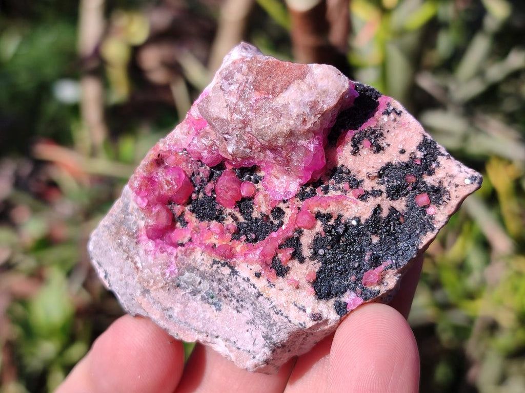 Natural Spherocobaltite Specimens with Heterogenite x 6 From Musonoi Mine, Congo