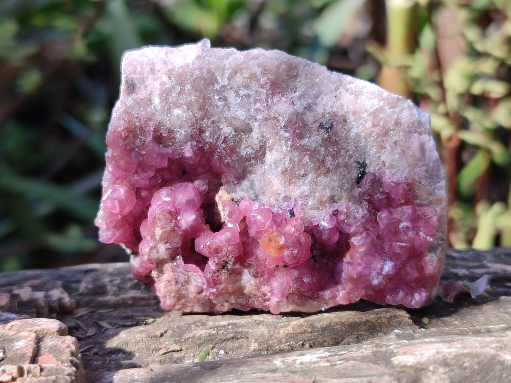 Natural Spherocobaltite Specimens with Heterogenite x 6 From Musonoi Mine, Congo