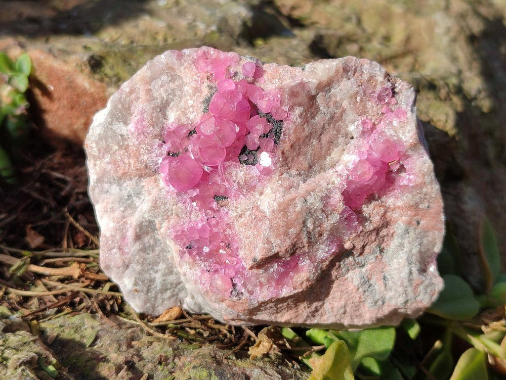 Natural Spherocobaltite Specimens with Heterogenite x 6 From Musonoi Mine, Congo