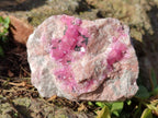 Natural Spherocobaltite Specimens with Heterogenite x 6 From Musonoi Mine, Congo