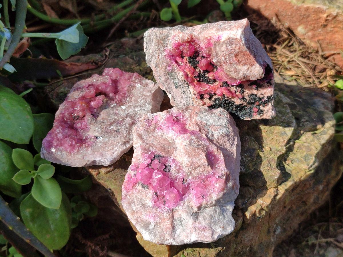 Natural Spherocobaltite Specimens with Heterogenite x 6 From Musonoi Mine, Congo