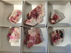 Natural Spherocobaltite Specimens with Heterogenite x 6 From Musonoi Mine, Congo