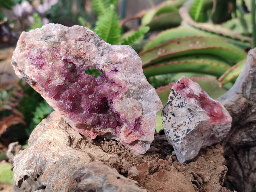 Natural Spherocobaltite Specimens with Heterogenite x 6 From Musonoi Mine, Congo
