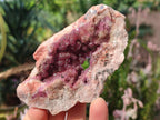 Natural Spherocobaltite Specimens with Heterogenite x 6 From Musonoi Mine, Congo