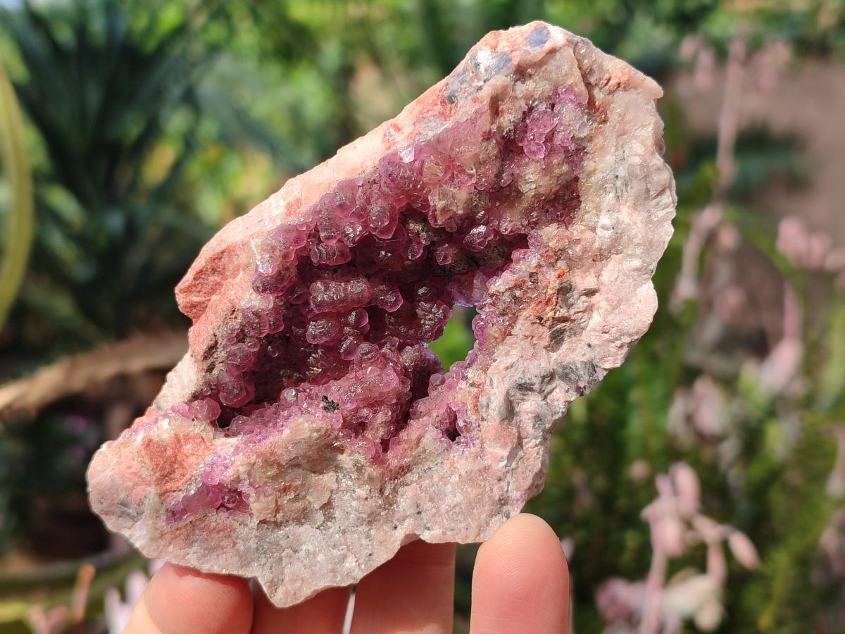 Natural Spherocobaltite Specimens with Heterogenite x 6 From Musonoi Mine, Congo