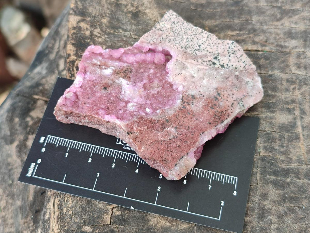 Natural Spherocobaltite Specimens with Heterogenite x 6 From Musonoi Mine, Congo