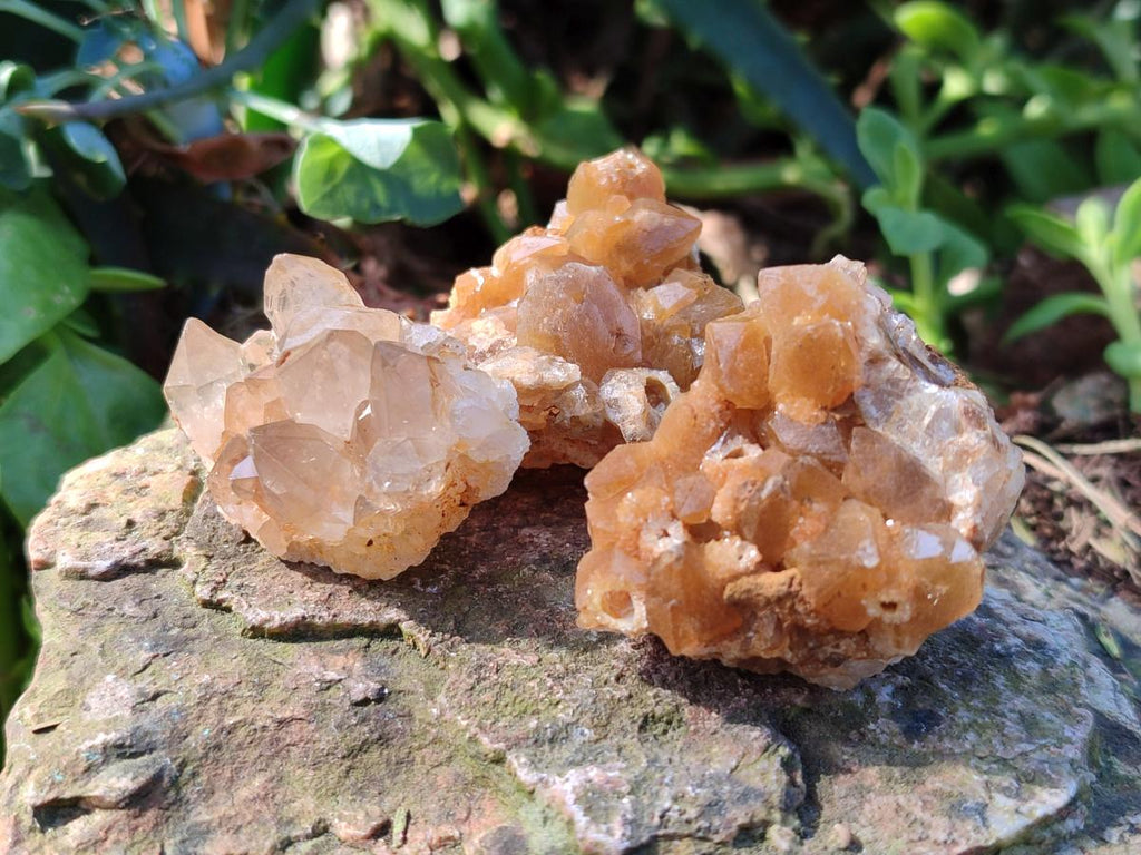 Natural Golden Limonite Quartz Clusters x 70 From Solwezi, Zambia