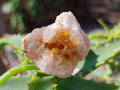Natural Golden Limonite Quartz Clusters x 70 From Solwezi, Zambia