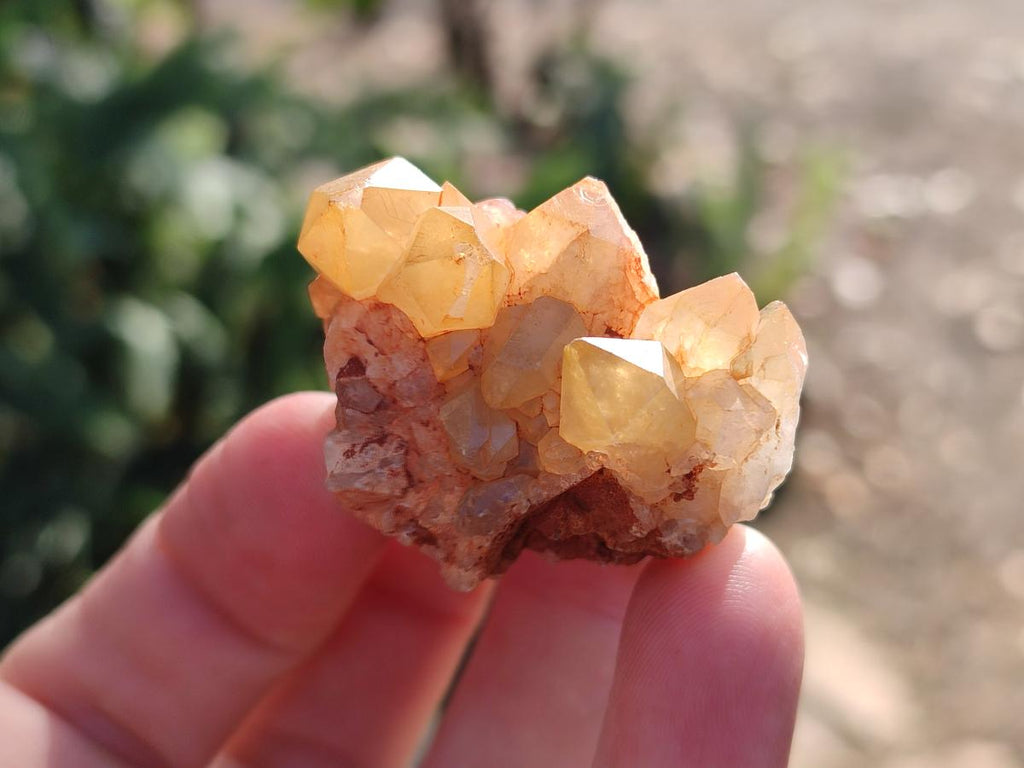 Natural Golden Limonite Quartz Clusters x 70 From Solwezi, Zambia