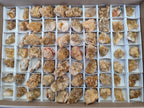 Natural Golden Limonite Quartz Clusters x 70 From Solwezi, Zambia