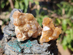 Natural Golden Limonite Quartz Clusters x 70 From Solwezi, Zambia