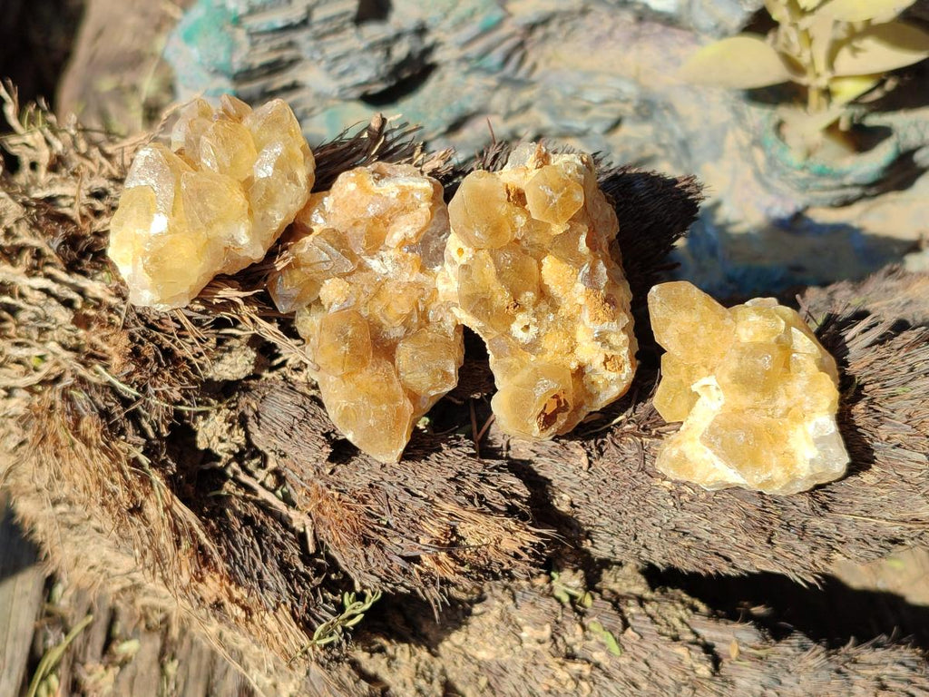 Natural Golden Limonite Quartz Clusters x 70 From Solwezi, Zambia