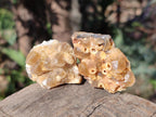 Natural Golden Limonite Quartz Clusters x 70 From Solwezi, Zambia